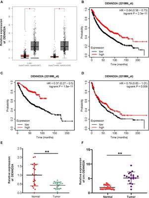 CircDENND2A Promotes Non-small Cell Lung Cancer Progression via Regulating MiR-34a/CCNE1 Signaling